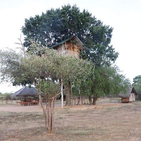 Yala Dream Park Hotel Exterior photo