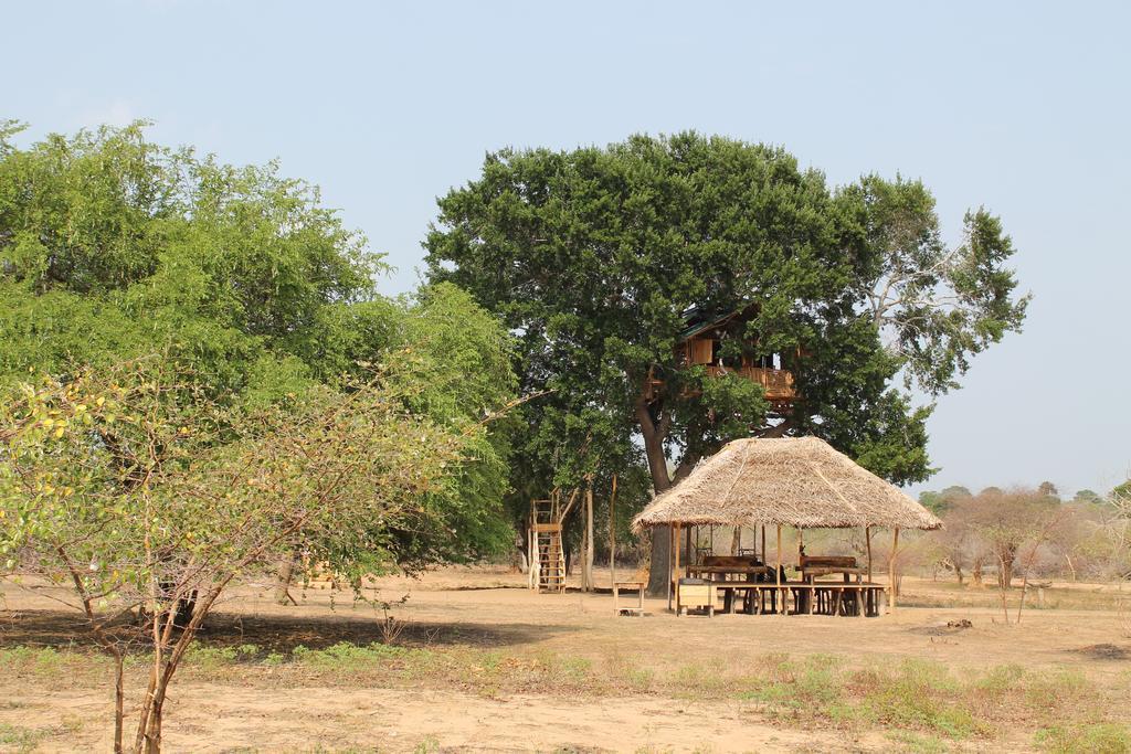 Yala Dream Park Hotel Exterior photo