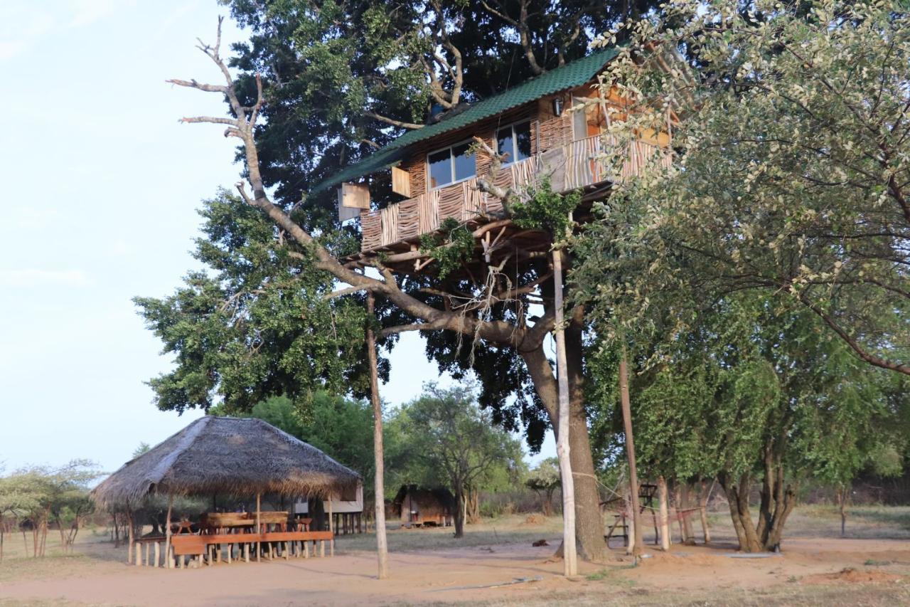 Yala Dream Park Hotel Exterior photo